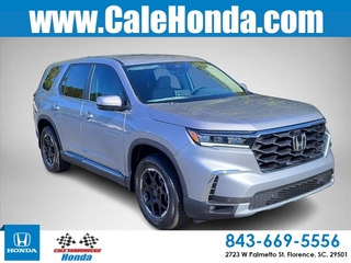 2025 Honda Pilot for sale in Florence SC