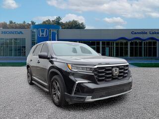 2025 Honda Pilot for sale in Memphis TN