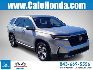 2025 Honda Pilot for sale in Florence SC