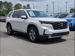 2025 Honda Pilot for sale in Cleveland TN