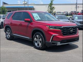 2025 Honda Pilot for sale in Cleveland TN
