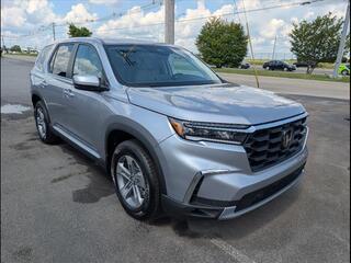 2025 Honda Pilot for sale in Bowling Green KY