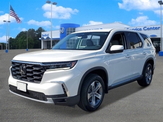 2024 Honda Pilot for sale in Sanford NC