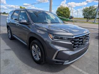 2025 Honda Pilot for sale in Bowling Green KY