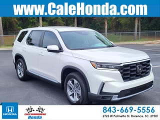2025 Honda Pilot for sale in Florence SC