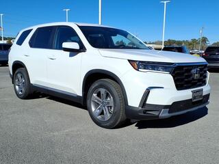 2025 Honda Pilot for sale in Morehead City NC
