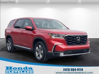 2025 Honda Pilot for sale in Cleveland TN