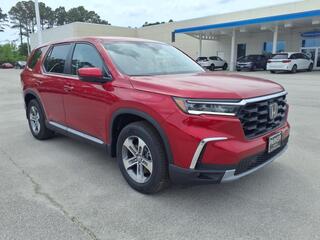 2025 Honda Pilot for sale in Morehead City NC
