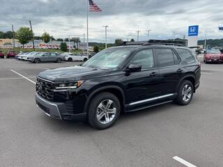 2026 Honda Pilot for sale in Johnson City TN
