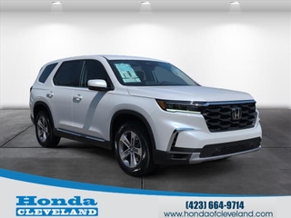 2025 Honda Pilot for sale in Cleveland TN