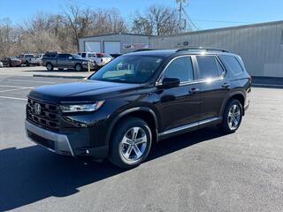 2026 Honda Pilot for sale in Johnson City TN
