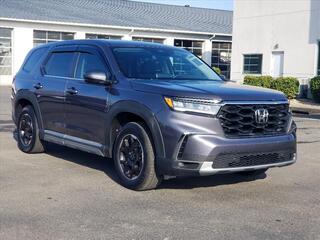 2025 Honda Pilot for sale in Cleveland TN