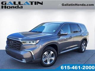 2025 Honda Pilot for sale in Gallatin TN