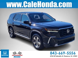 2025 Honda Pilot for sale in Florence SC