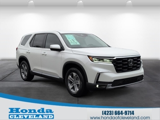 2025 Honda Pilot for sale in Cleveland TN