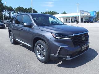 2025 Honda Pilot for sale in Morehead City NC