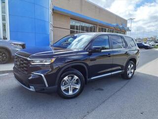 2025 Honda Pilot for sale in Gallatin TN