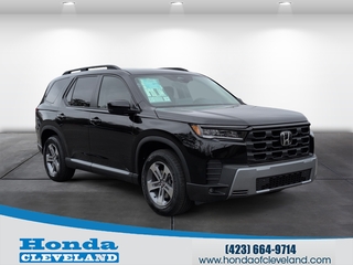 2026 Honda Pilot for sale in Cleveland TN