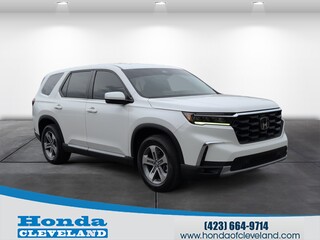 2024 Honda Pilot for sale in Cleveland TN