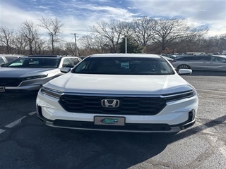 2024 Honda Pilot for sale in Johnson City TN