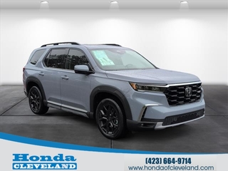 2025 Honda Pilot for sale in Cleveland TN