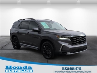 2025 Honda Pilot for sale in Cleveland TN