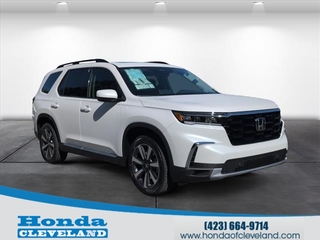2025 Honda Pilot for sale in Cleveland TN