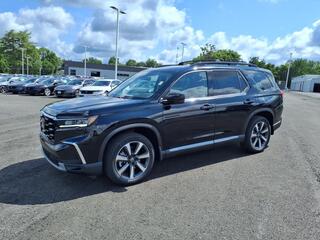 2025 Honda Pilot for sale in Johnson City TN