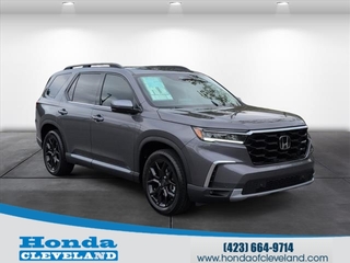 2025 Honda Pilot for sale in Cleveland TN