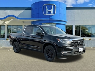 2025 Honda Ridgeline for sale in Wallingford CT