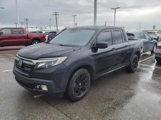 2019 Honda Ridgeline for sale in Maumee OH