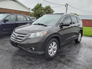 2014 Honda CR-V for sale in Shelbyville TN