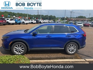 2023 Honda CR-V for sale in Brandon MS