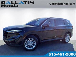 2024 Honda CR-V for sale in Gallatin TN