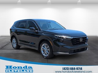 2024 Honda CR-V for sale in Cleveland TN