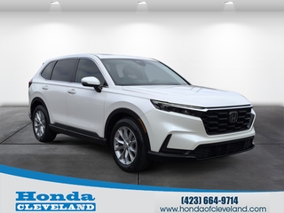2024 Honda CR-V for sale in Cleveland TN