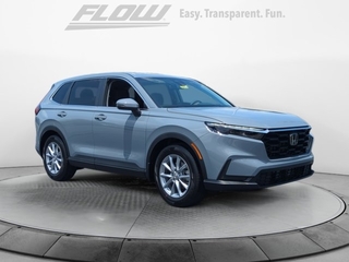 2026 Honda CR-V for sale in Burlington NC