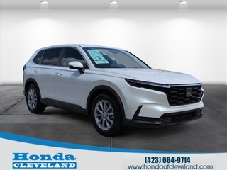 2026 Honda CR-V for sale in Cleveland TN