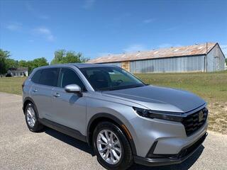 2023 Honda CR-V for sale in Bennettsville SC