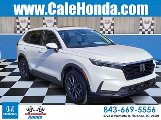2026 Honda CR-V for sale in Florence SC
