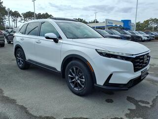 2026 Honda CR-V for sale in Morehead City NC