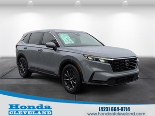 2026 Honda CR-V for sale in Cleveland TN
