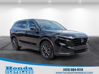 2026 Honda CR-V for sale in Cleveland TN
