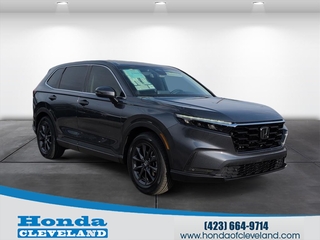 2026 Honda CR-V for sale in Cleveland TN