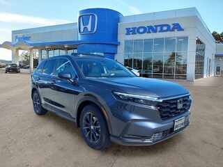 2026 Honda CR-V for sale in Morehead City NC