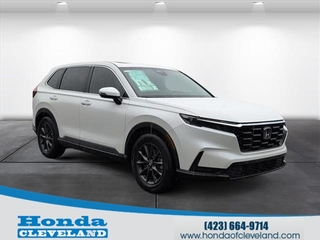 2026 Honda CR-V for sale in Cleveland TN