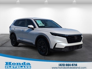 2026 Honda CR-V for sale in Cleveland TN