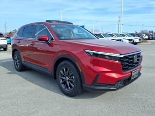 2026 Honda CR-V for sale in Morehead City NC