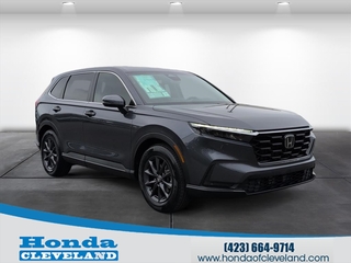 2026 Honda CR-V for sale in Cleveland TN