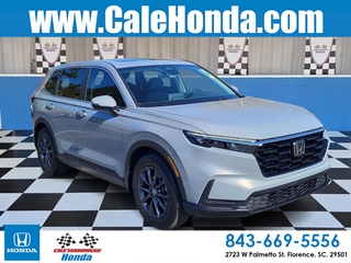 2026 Honda CR-V for sale in Florence SC